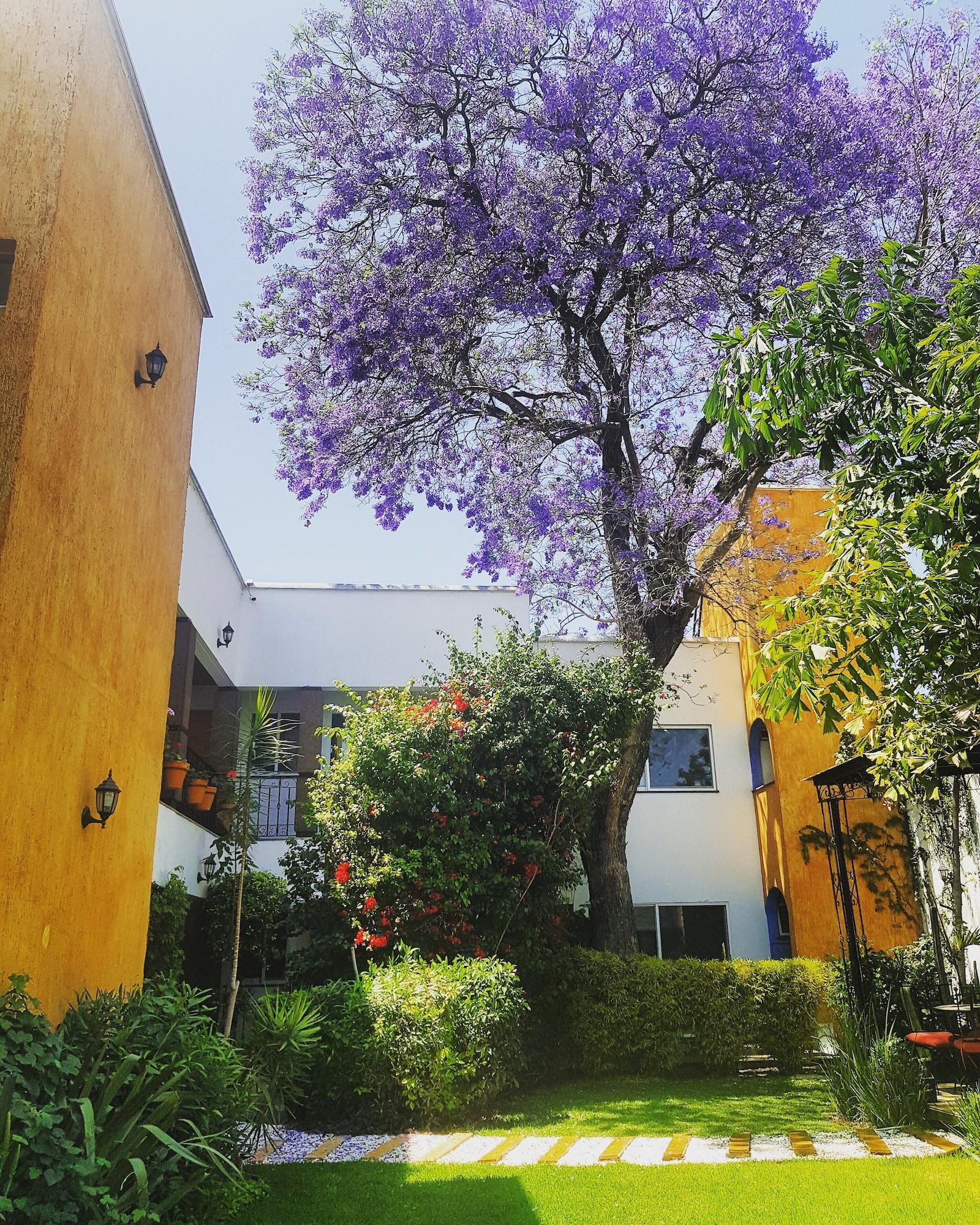 Hotel Quinta Lucca Queretaro Exterior photo